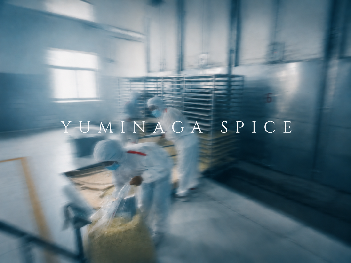 Low-temperature tunnel drying for spice ingredients